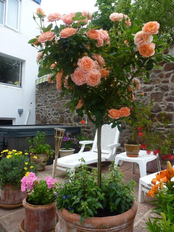 Saint Helier Jersey Bayview Guest House מראה חיצוני תמונה