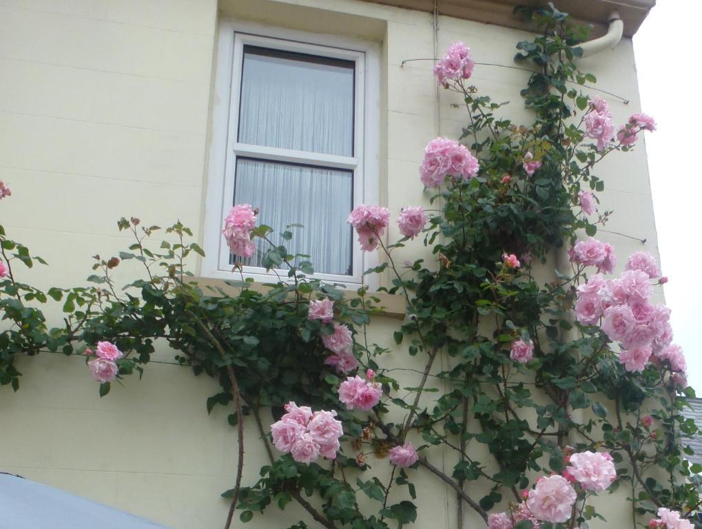 Saint Helier Jersey Bayview Guest House מראה חיצוני תמונה